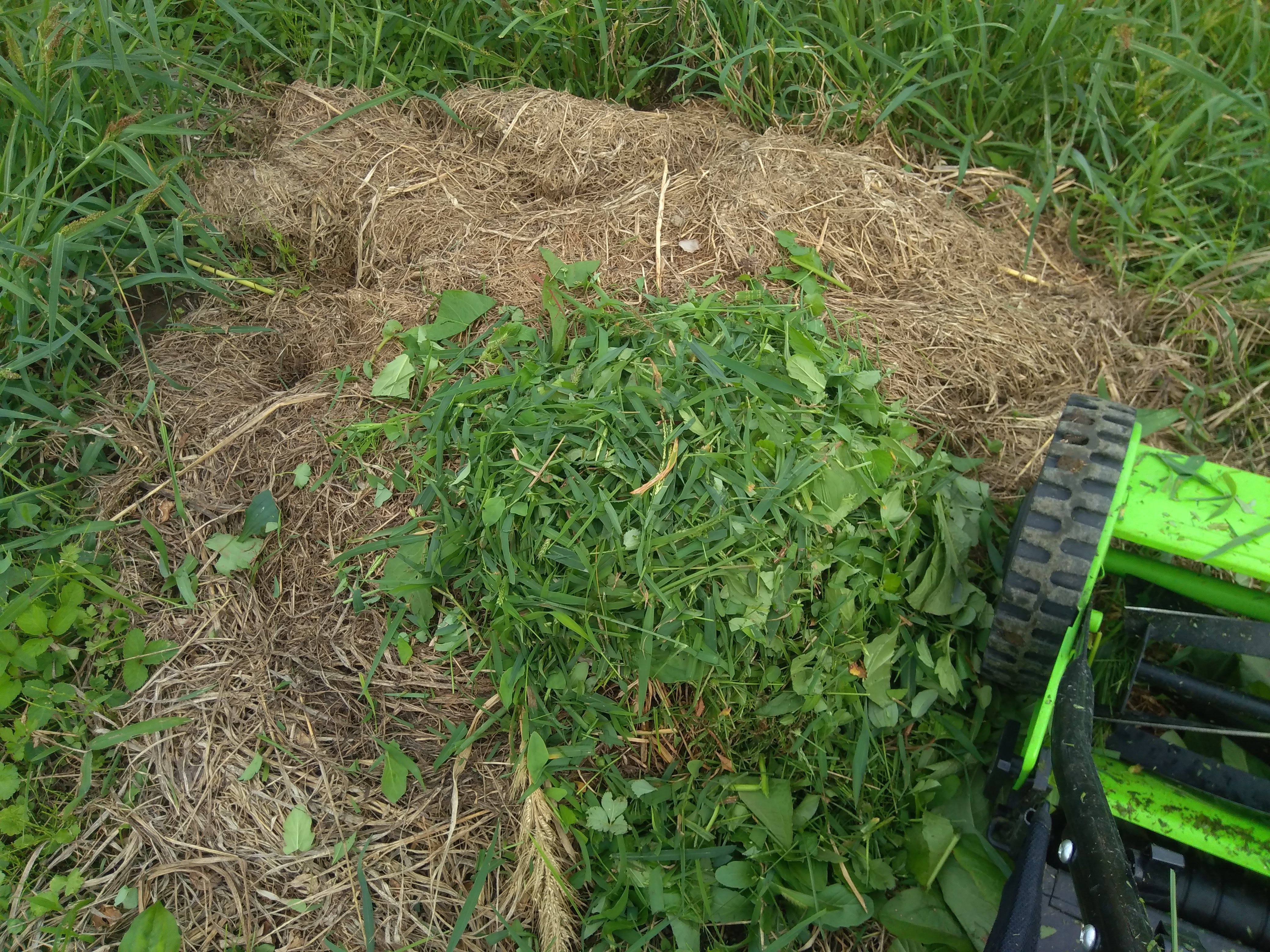 刈った草を堆肥化